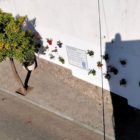 فيلا Casa Vista Alcalá de los Gazules المظهر الخارجي الصورة