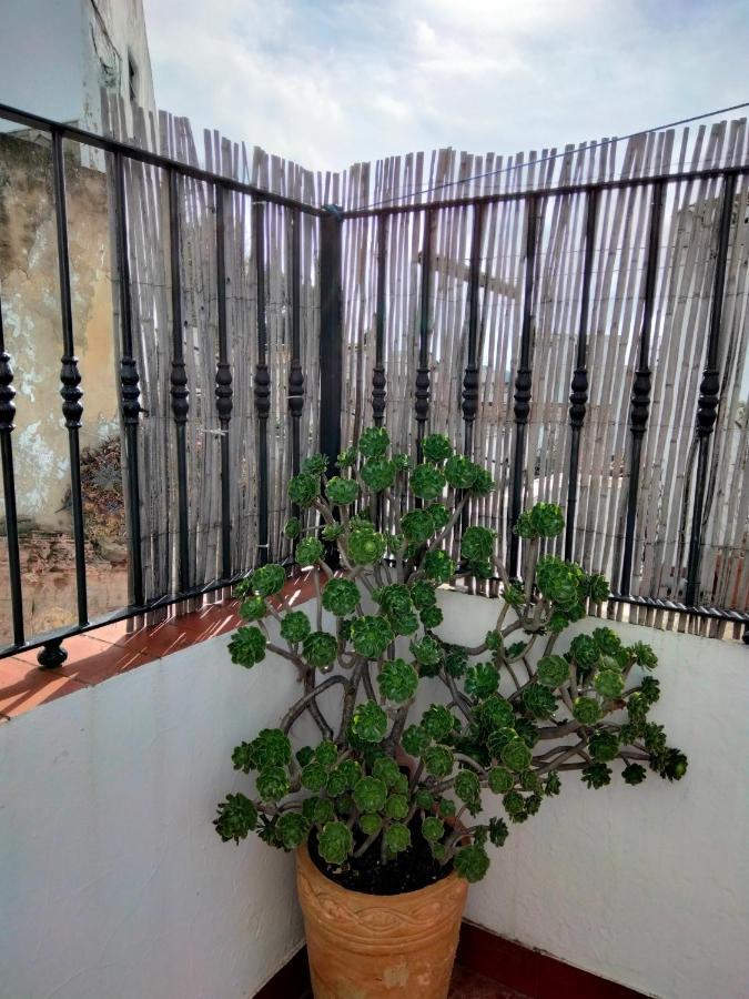 فيلا Casa Vista Alcalá de los Gazules المظهر الخارجي الصورة