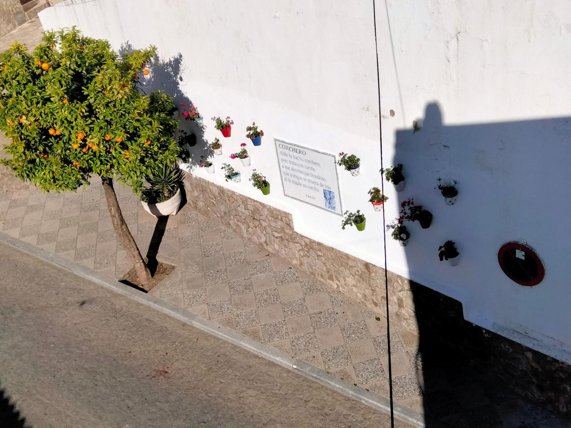 فيلا Casa Vista Alcalá de los Gazules المظهر الخارجي الصورة