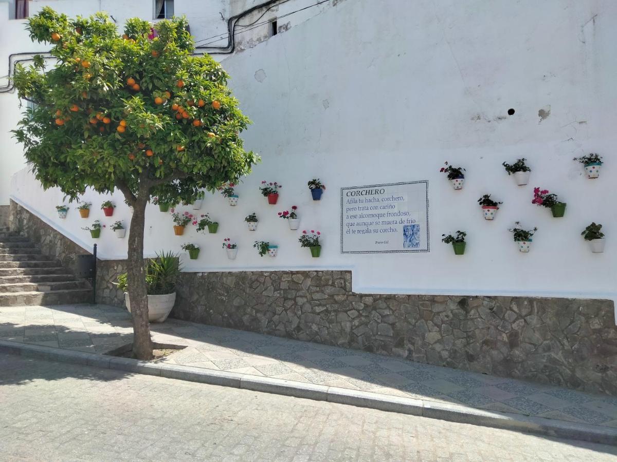 فيلا Casa Vista Alcalá de los Gazules المظهر الخارجي الصورة